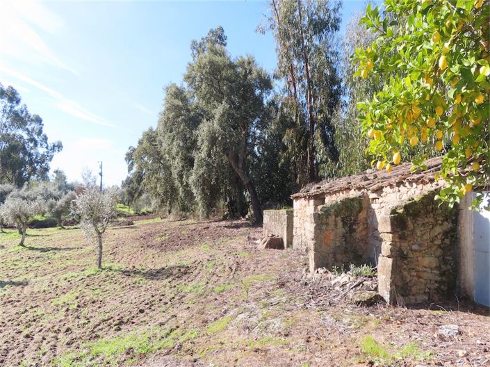 Image No.12-Propriété à vendre à Castelo Branco