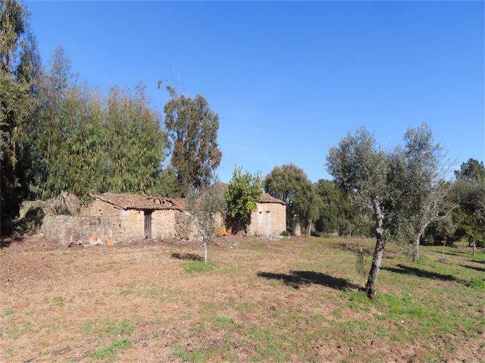 Image No.13-Propriété à vendre à Castelo Branco