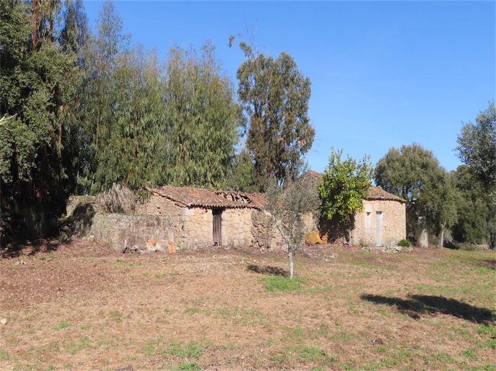 Image No.14-Propriété à vendre à Castelo Branco