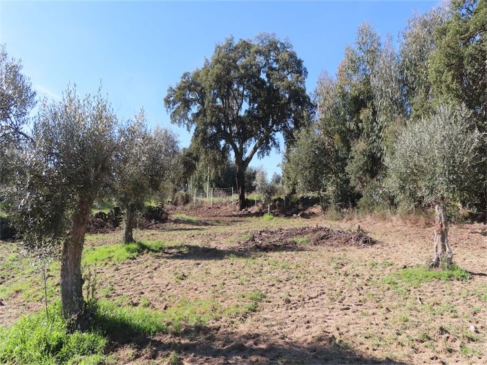 Image No.15-Propriété à vendre à Castelo Branco