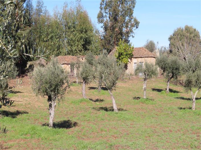 Image No.17-Propriété à vendre à Castelo Branco