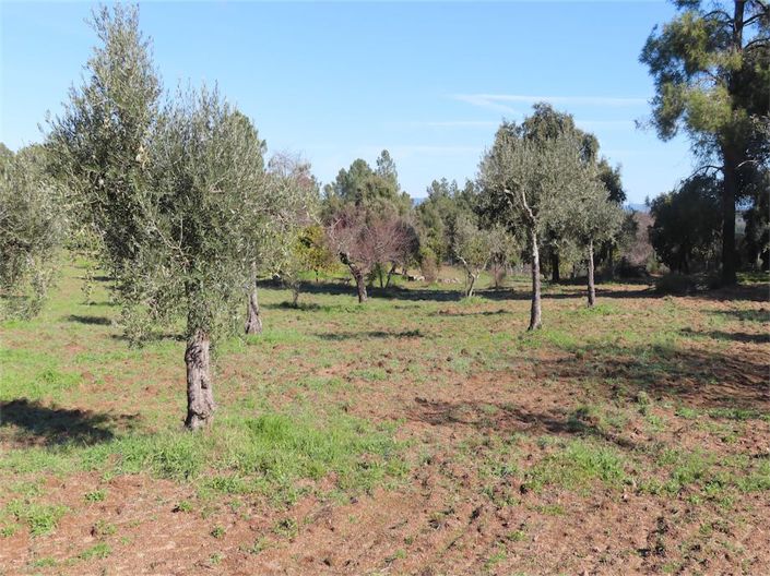 Image No.18-Propriété à vendre à Castelo Branco