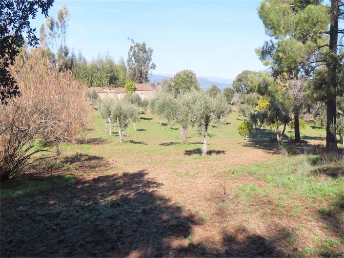 Image No.19-Propriété à vendre à Castelo Branco