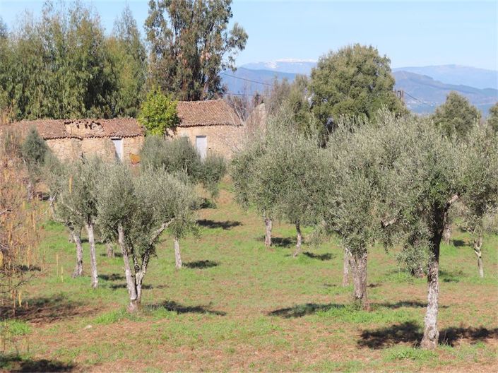 Image No.20-Propriété à vendre à Castelo Branco