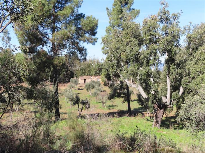 Image No.21-Propriété à vendre à Castelo Branco