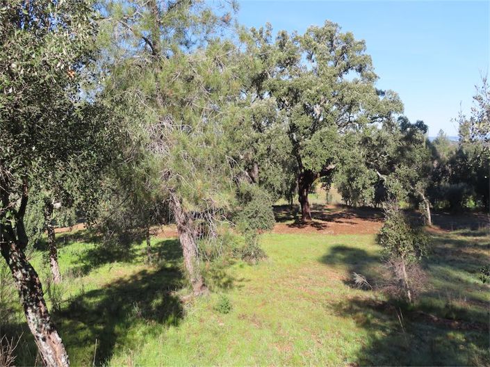 Image No.22-Propriété à vendre à Castelo Branco