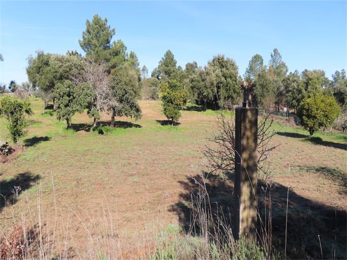 Image No.28-Propriété à vendre à Castelo Branco