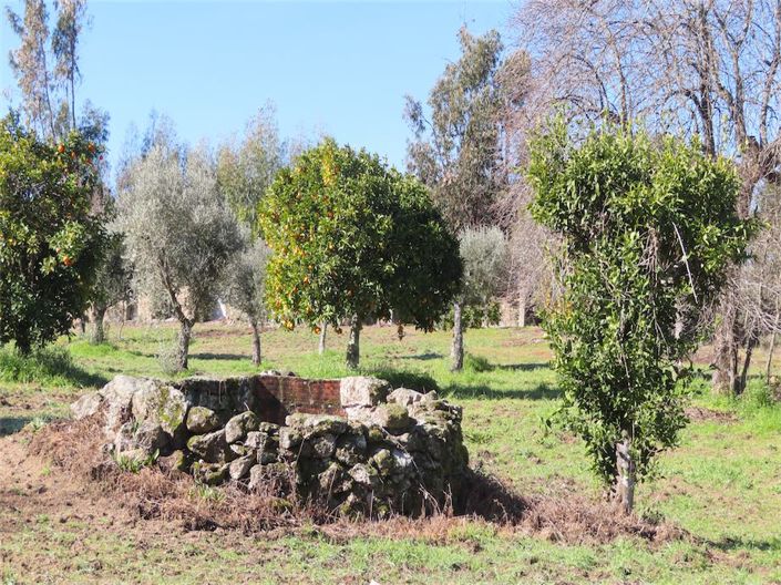 Image No.29-Propriété à vendre à Castelo Branco