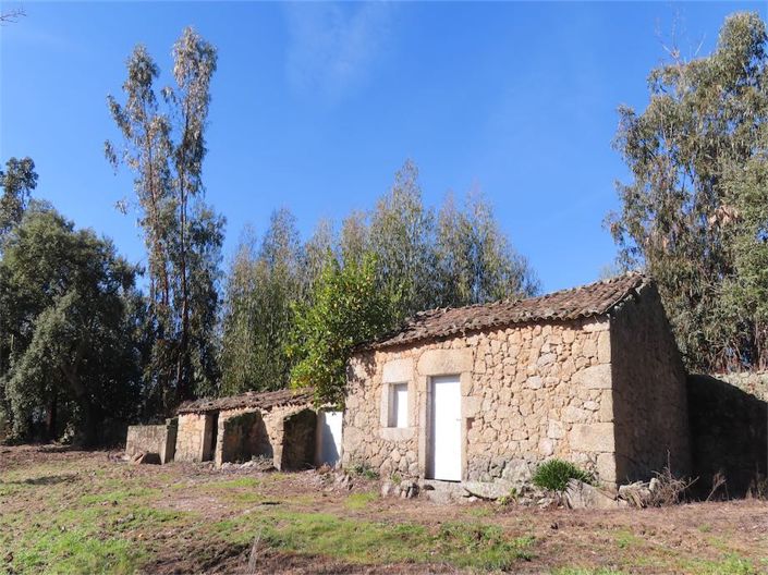 Image No.3-Propriété à vendre à Castelo Branco