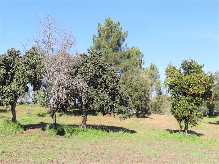 Image No.30-Propriété à vendre à Castelo Branco