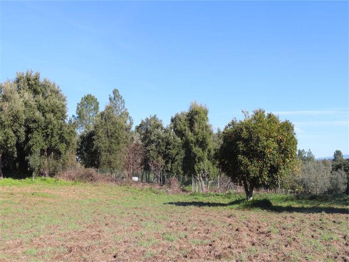 Image No.31-Propriété à vendre à Castelo Branco