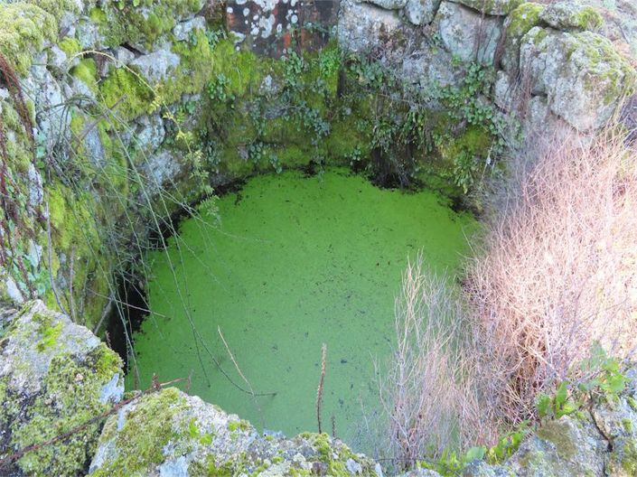 Image No.33-Propriété à vendre à Castelo Branco