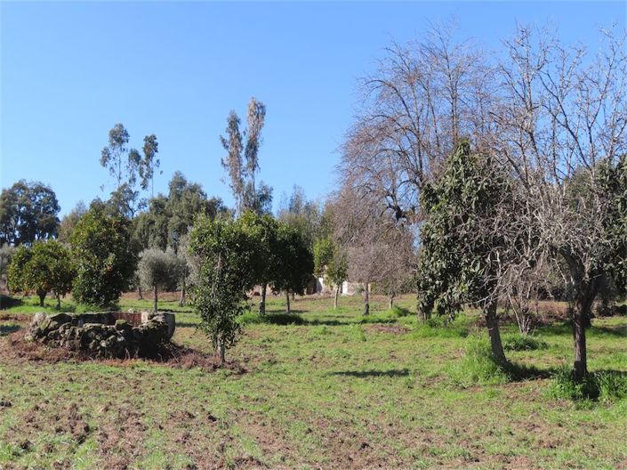 Image No.34-Propriété à vendre à Castelo Branco