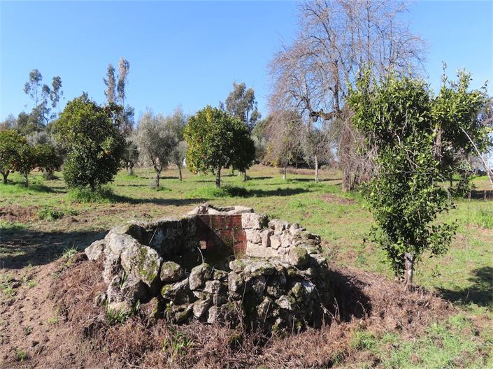 Image No.35-Propriété à vendre à Castelo Branco