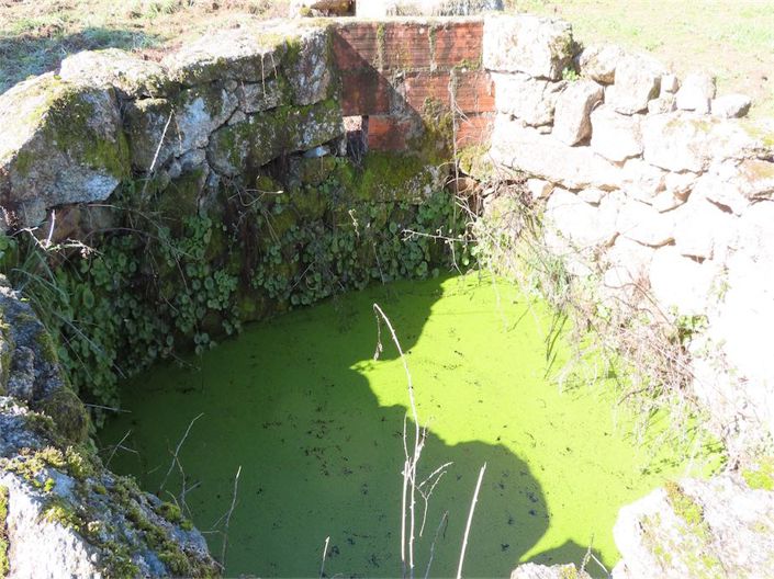 Image No.36-Propriété à vendre à Castelo Branco