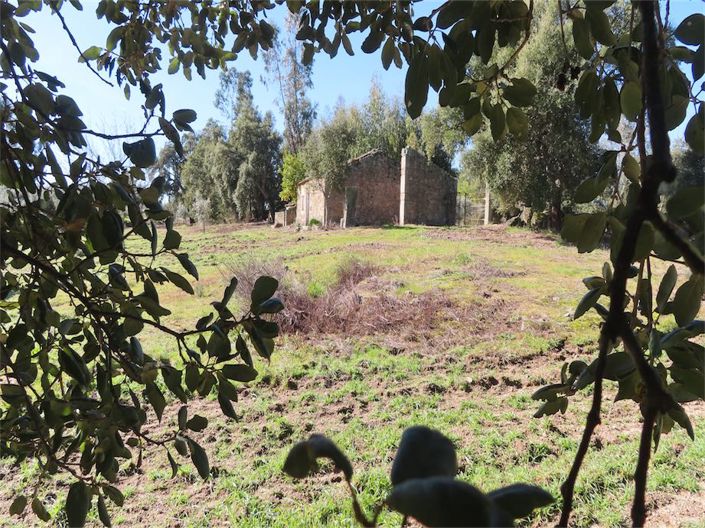 Image No.39-Propriété à vendre à Castelo Branco