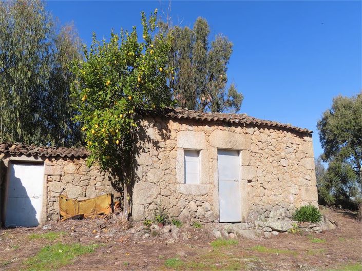 Image No.5-Propriété à vendre à Castelo Branco