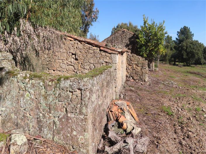 Image No.7-Propriété à vendre à Castelo Branco