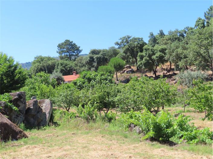 Image No.10-Propriété à vendre à Castelo Branco