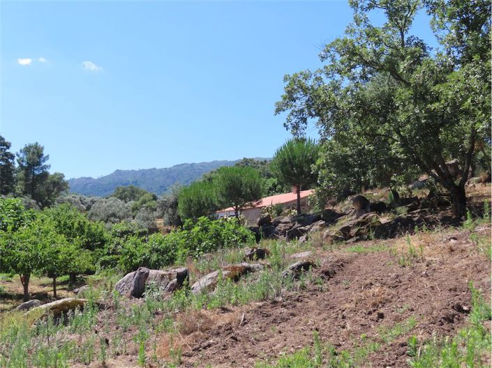 Image No.13-Propriété à vendre à Castelo Branco