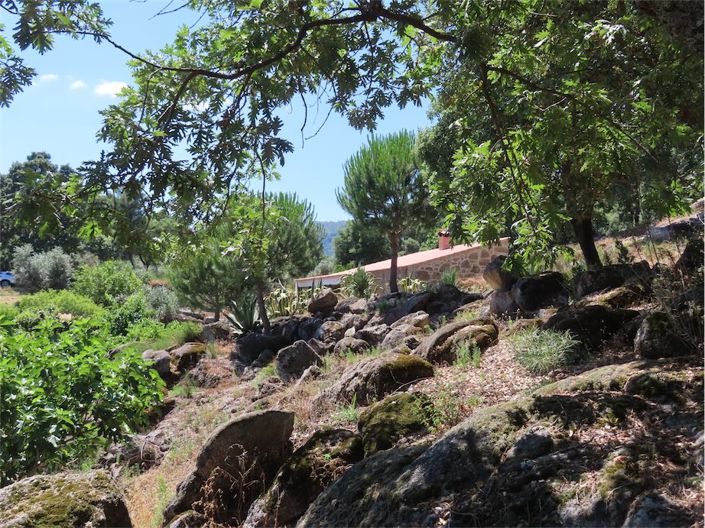 Image No.14-Propriété à vendre à Castelo Branco