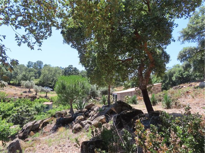 Image No.15-Propriété à vendre à Castelo Branco