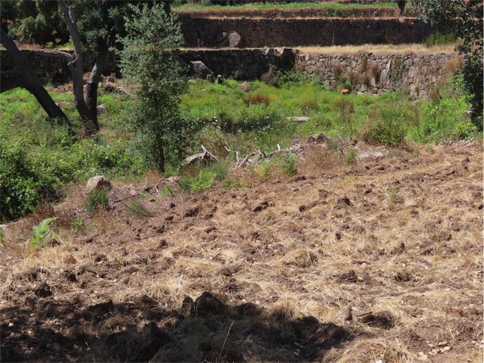 Image No.17-Propriété à vendre à Castelo Branco