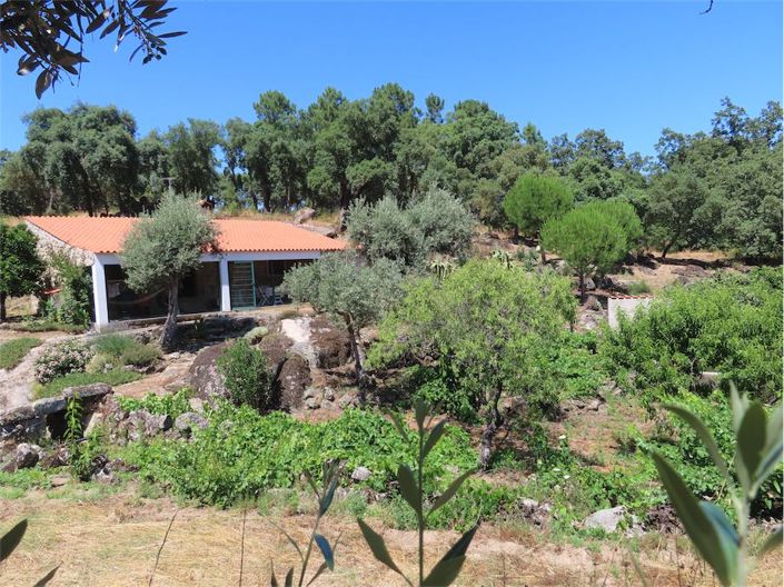 Image No.2-Propriété à vendre à Castelo Branco