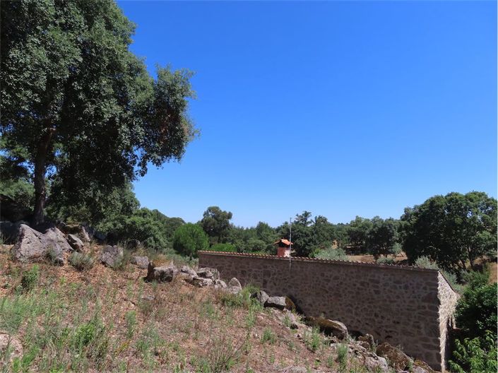 Image No.20-Propriété à vendre à Castelo Branco