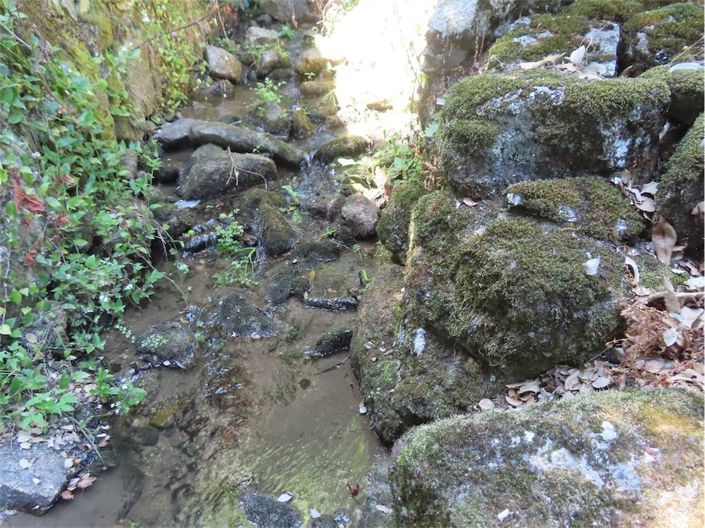 Image No.21-Propriété à vendre à Castelo Branco