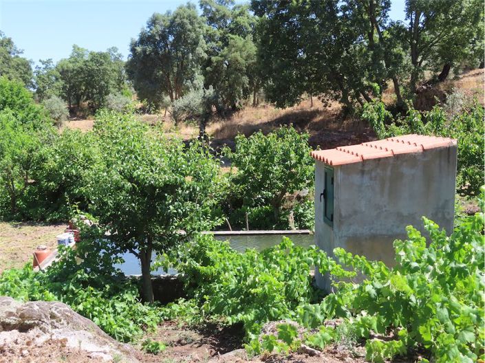 Image No.36-Propriété à vendre à Castelo Branco