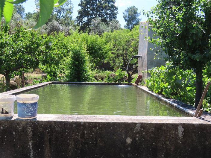 Image No.37-Propriété à vendre à Castelo Branco