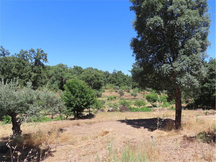 Image No.4-Propriété à vendre à Castelo Branco