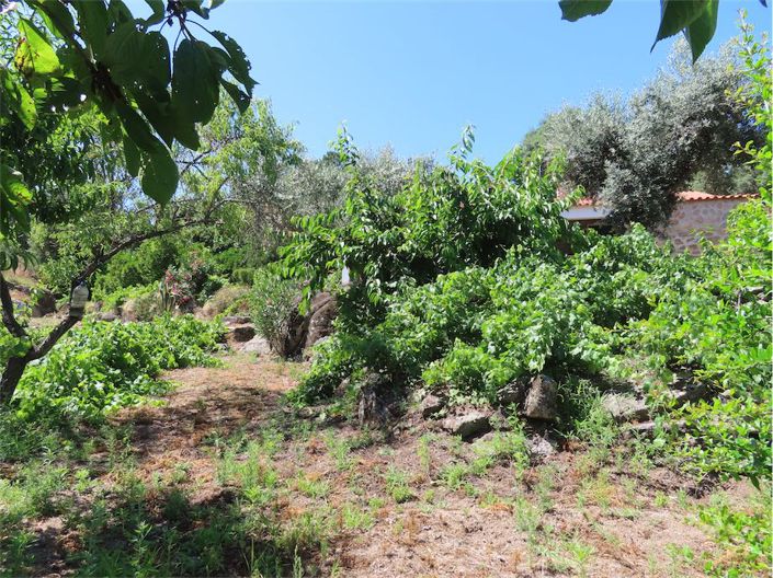 Image No.40-Propriété à vendre à Castelo Branco