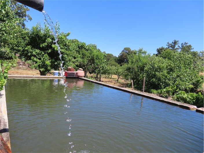 Image No.41-Propriété à vendre à Castelo Branco