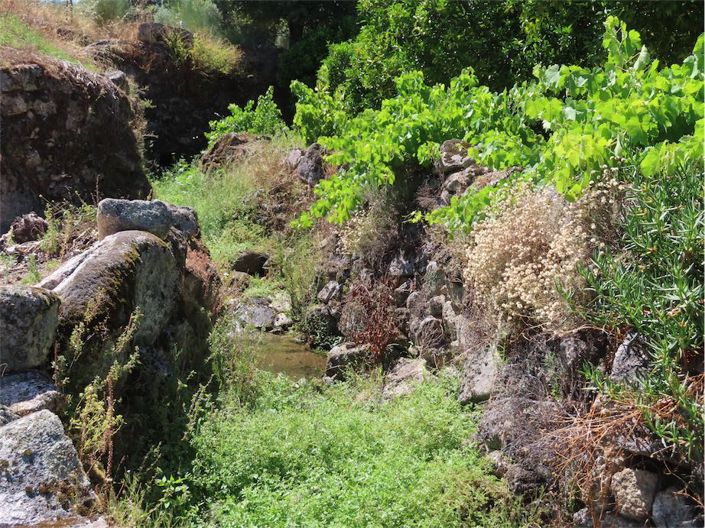 Image No.45-Propriété à vendre à Castelo Branco