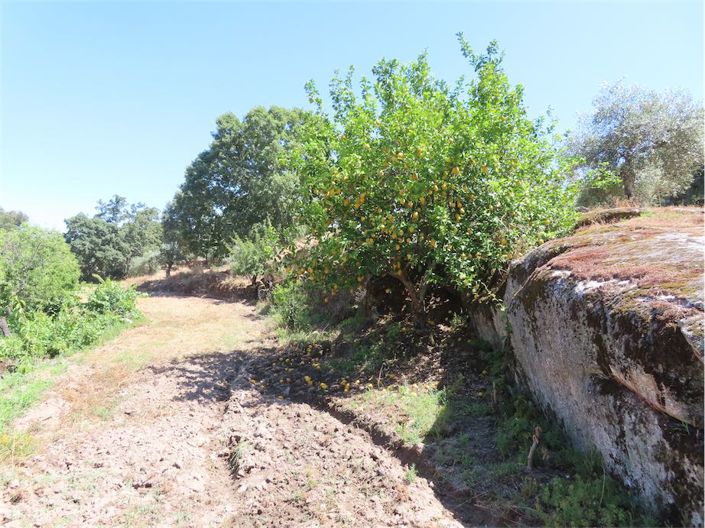 Image No.46-Propriété à vendre à Castelo Branco