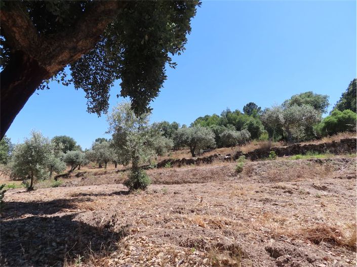 Image No.48-Propriété à vendre à Castelo Branco