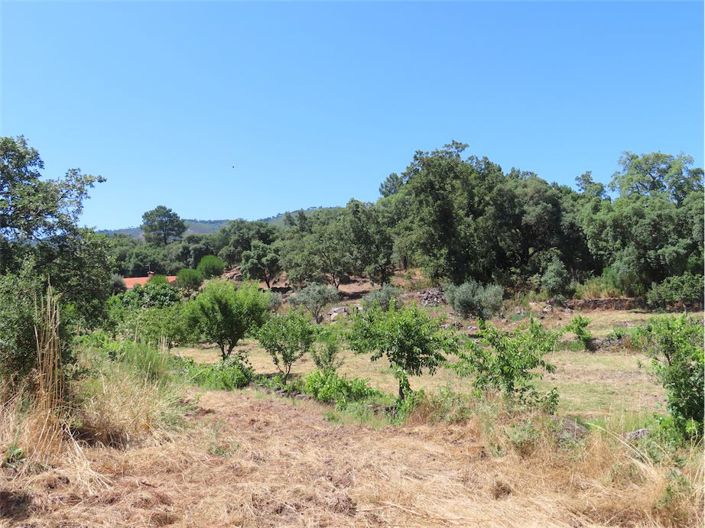 Image No.49-Propriété à vendre à Castelo Branco