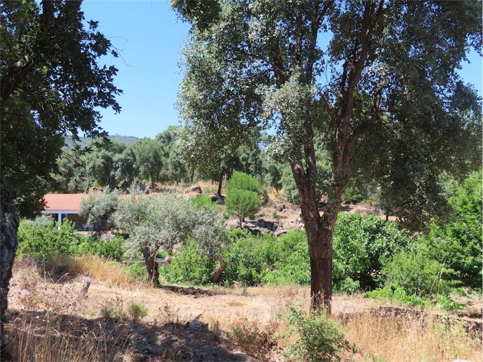 Image No.5-Propriété à vendre à Castelo Branco