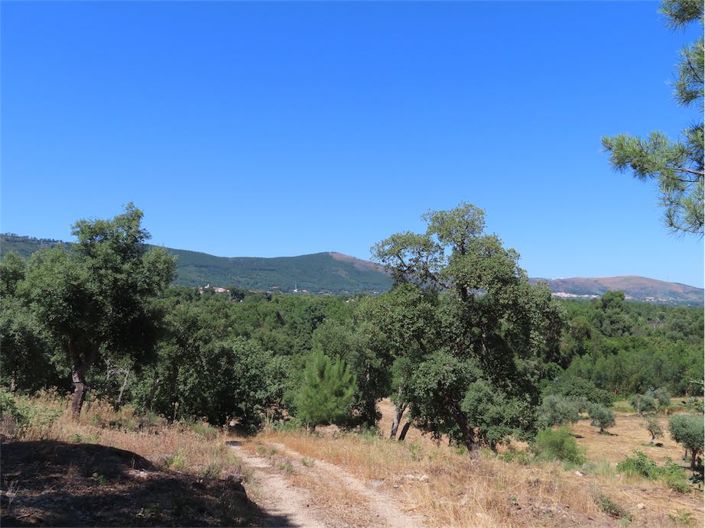 Image No.50-Propriété à vendre à Castelo Branco