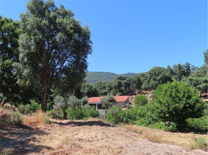 Image No.6-Propriété à vendre à Castelo Branco