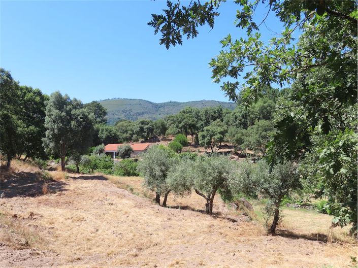 Image No.7-Propriété à vendre à Castelo Branco