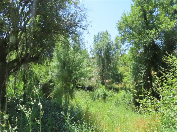 Image No.11-Propriété à vendre à Castelo Branco