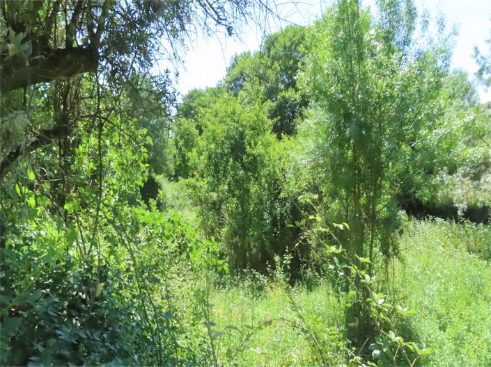 Image No.12-Propriété à vendre à Castelo Branco