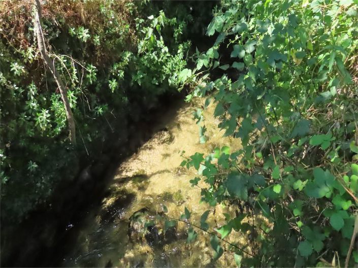 Image No.16-Propriété à vendre à Castelo Branco