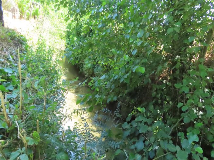 Image No.17-Propriété à vendre à Castelo Branco