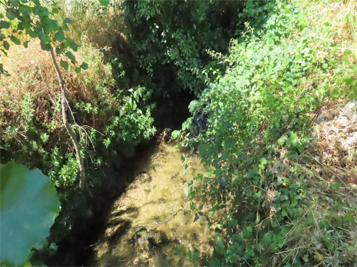 Image No.18-Propriété à vendre à Castelo Branco