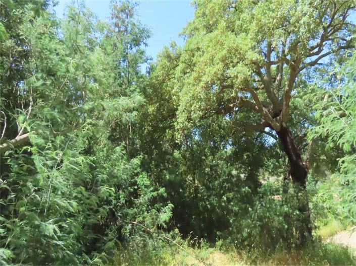 Image No.20-Propriété à vendre à Castelo Branco