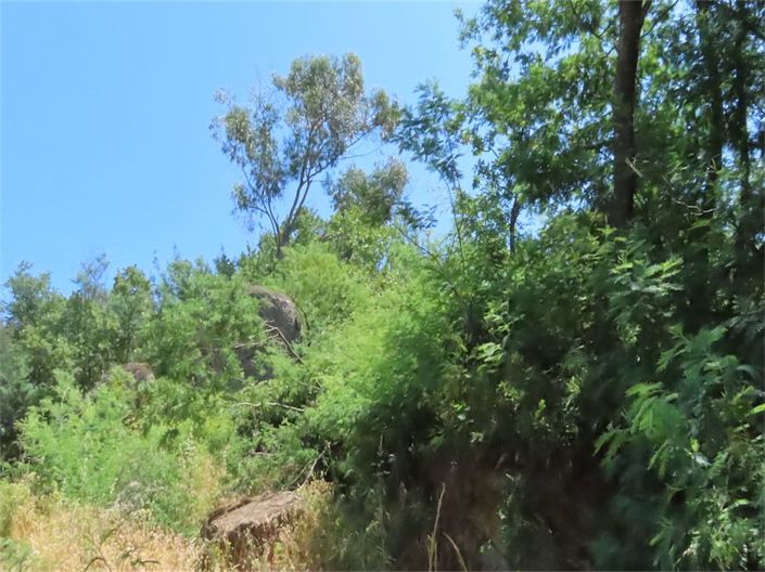 Image No.24-Propriété à vendre à Castelo Branco